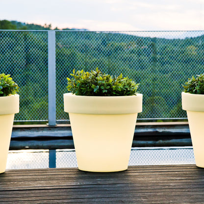 Magnolia<br> Solar &amp; Wiederaufladbar