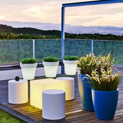 Magnolia<br> Solar &amp; Wiederaufladbar