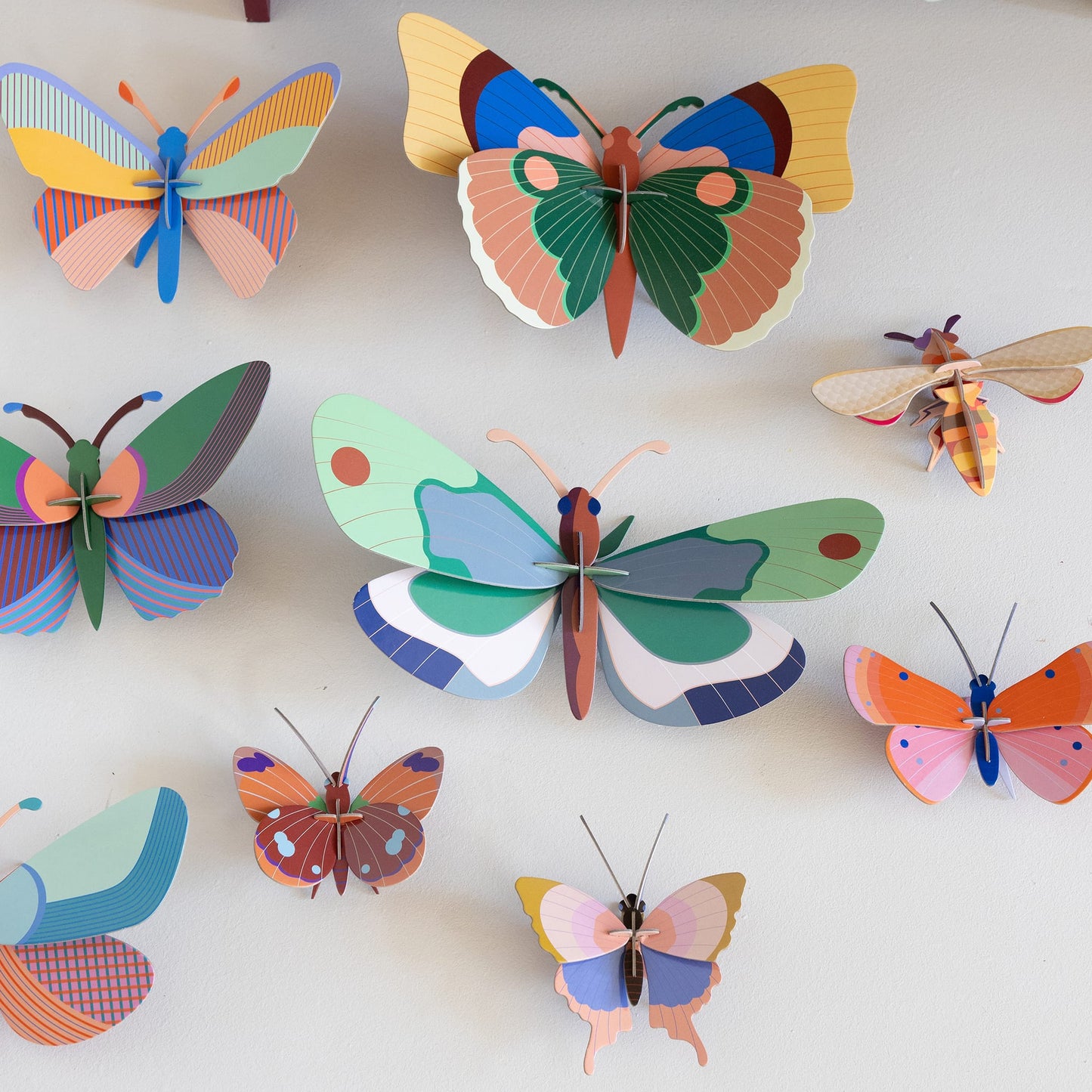 Minz-Wald-Schmetterling