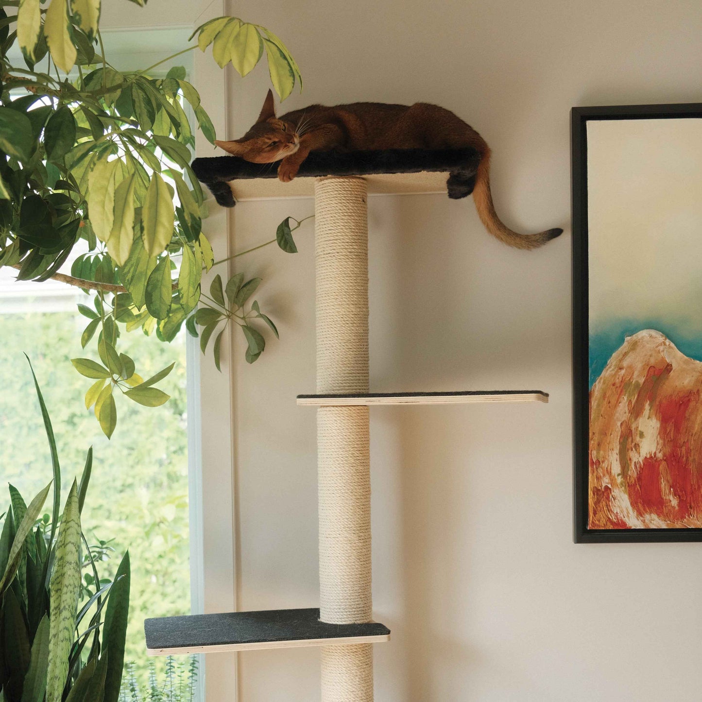 Noba Mural System Kit- The Vertical Playground