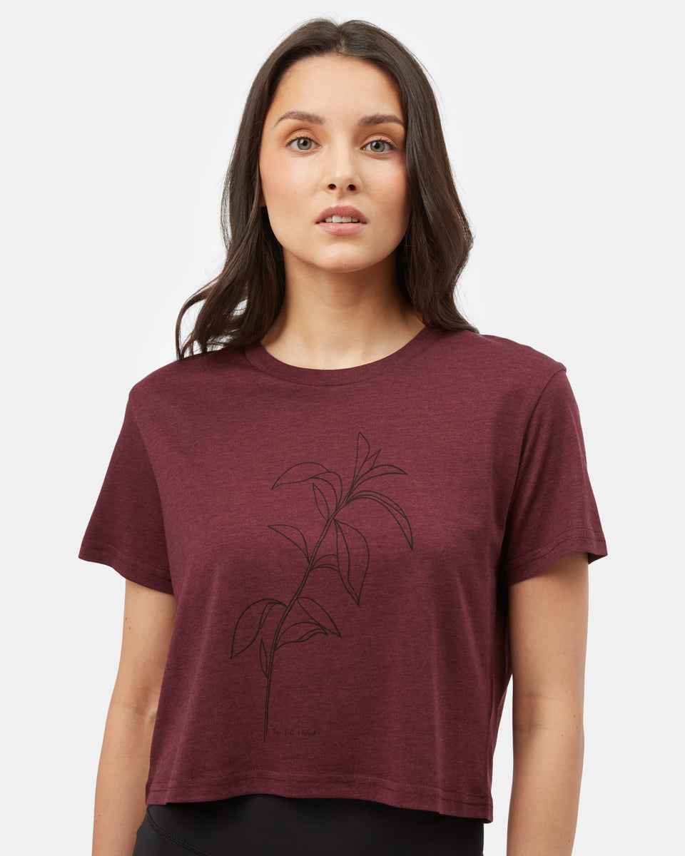 Sugar Leaf Cropped T-Shirt