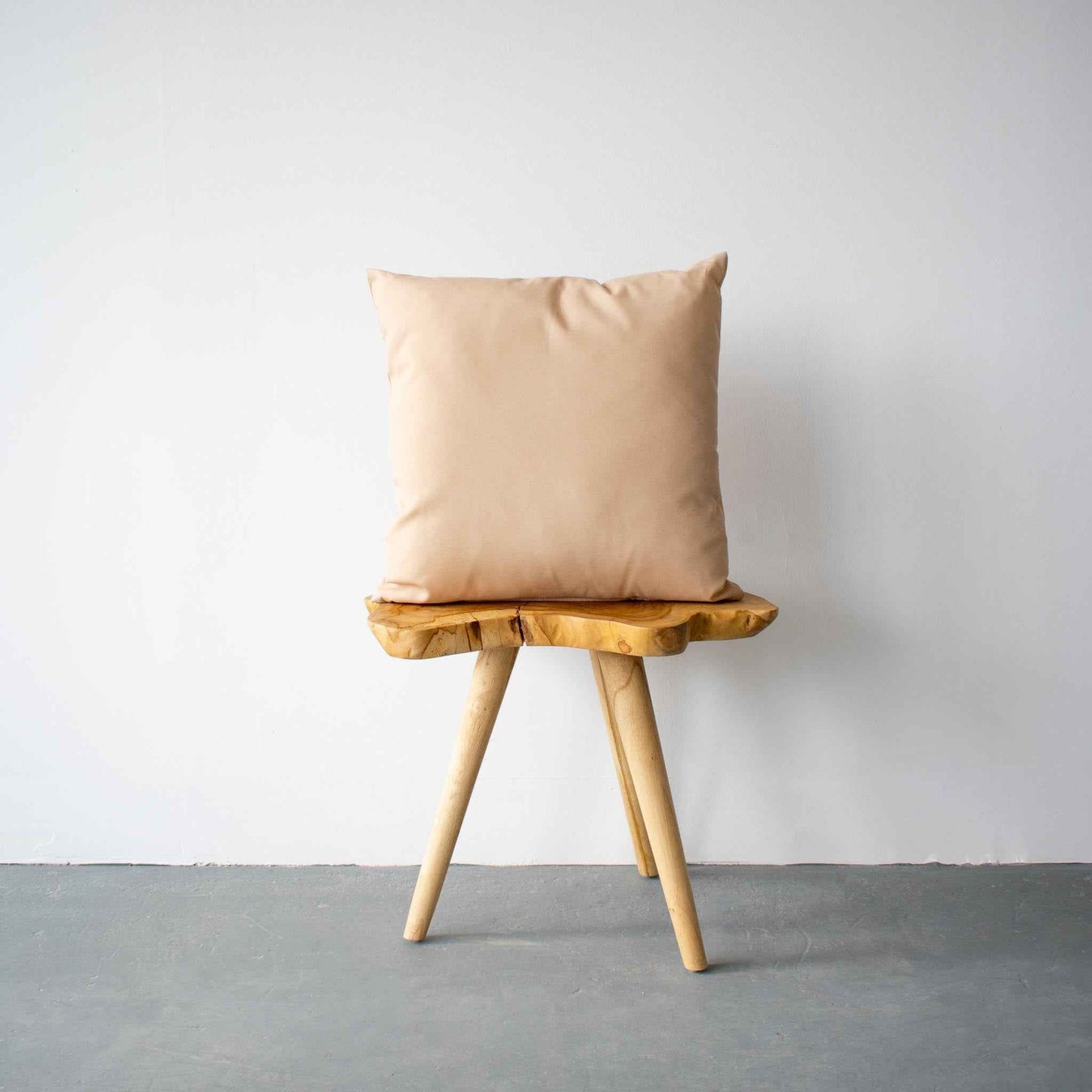 OUTDOOR PILLOW - BEIGE 20"