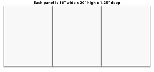 Split canvas prints 3 panels Triptych 16" x 20" each Panel