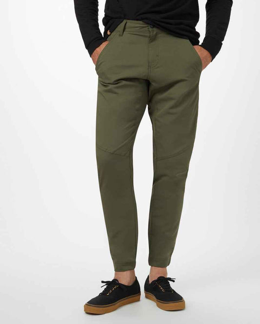InMotion Jogger