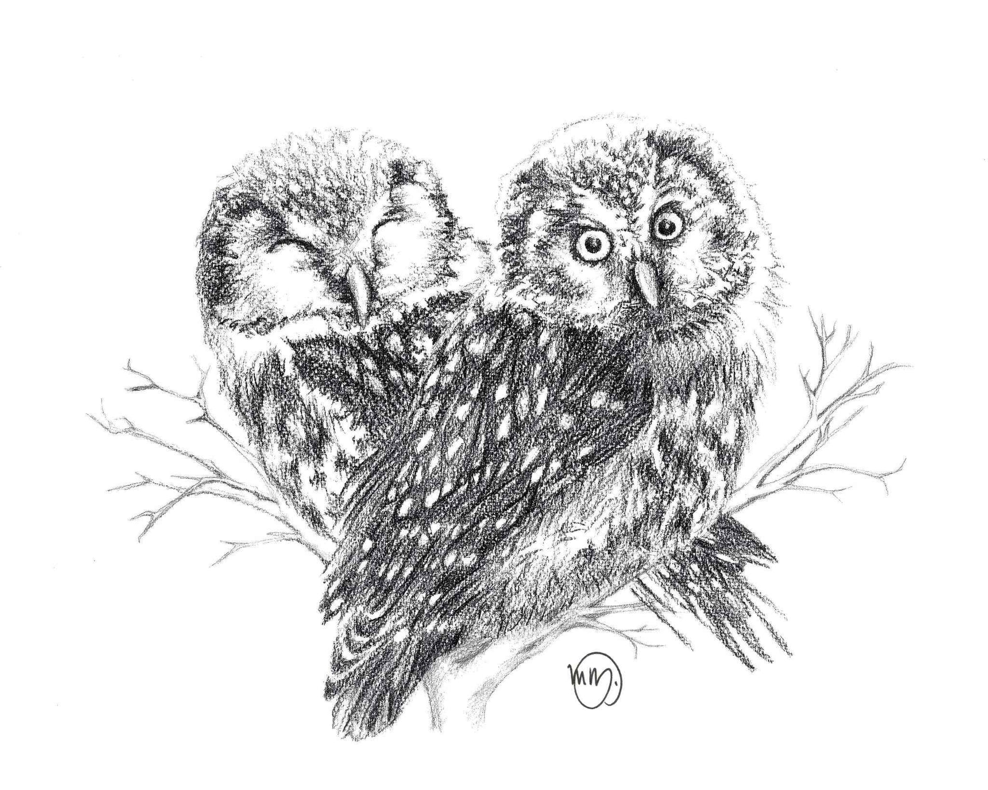 Adorable Owls in love - art print