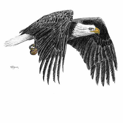 Bald Eagle  - greeting card