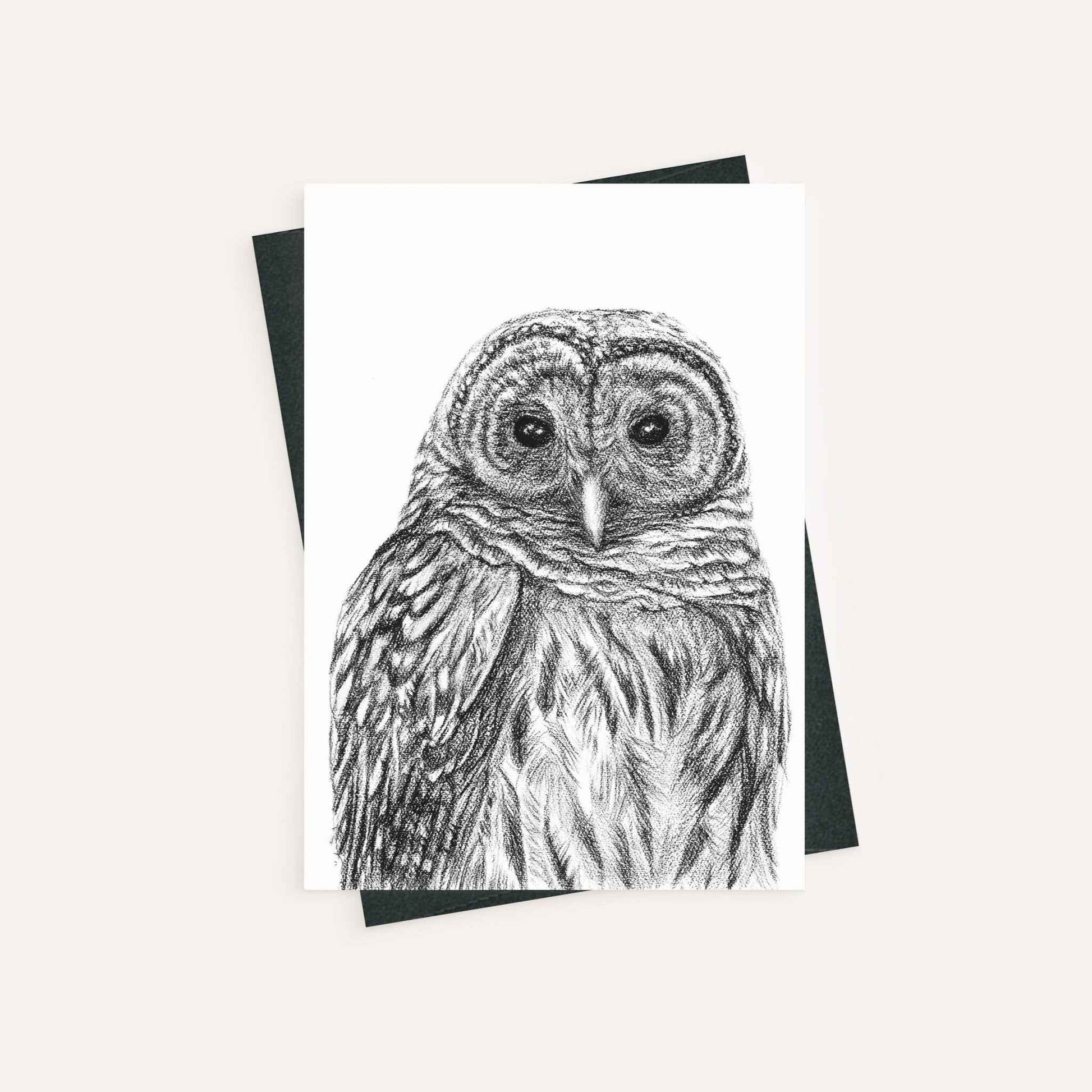Barred Owl - greeting card