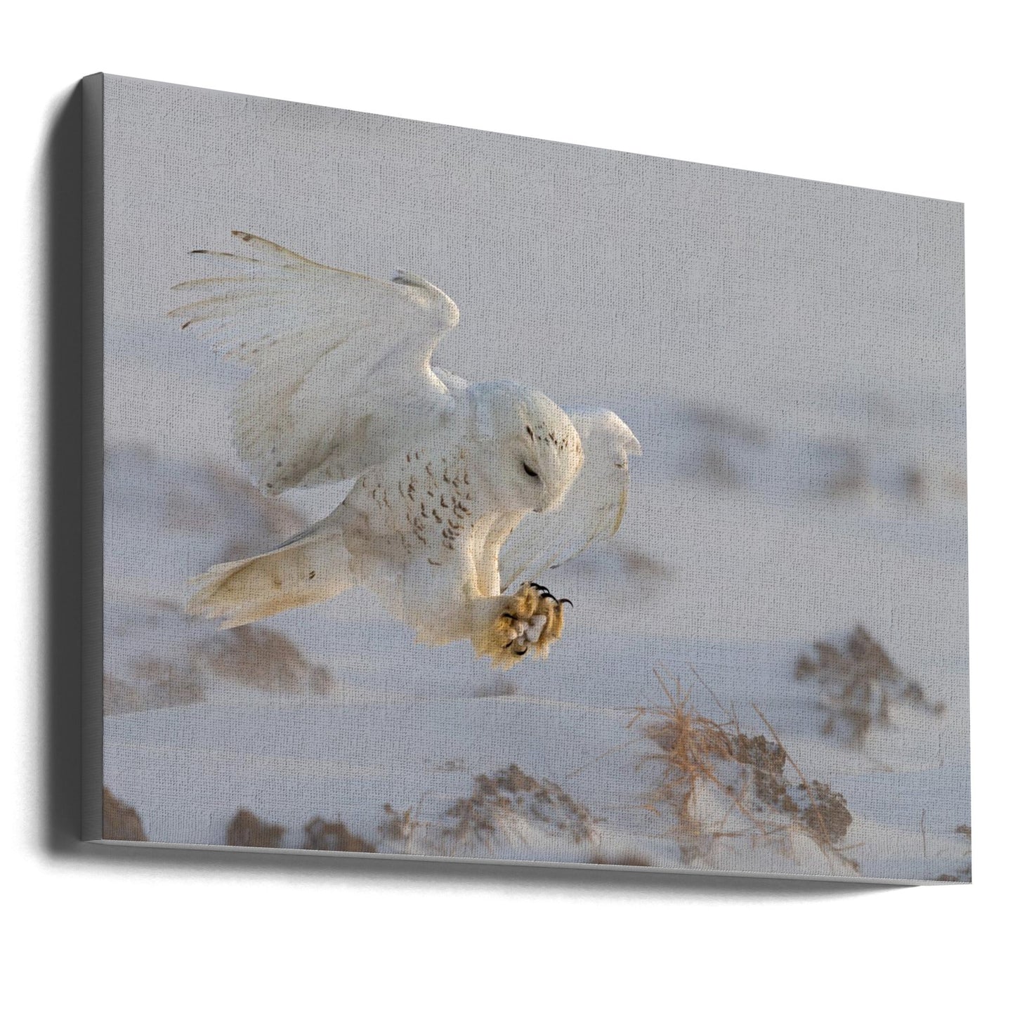 Wall art Landing
