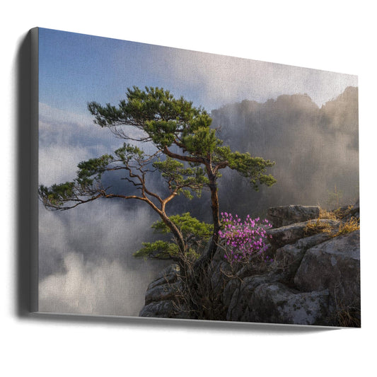 Wandbild Traumtänzer Leinwandbild