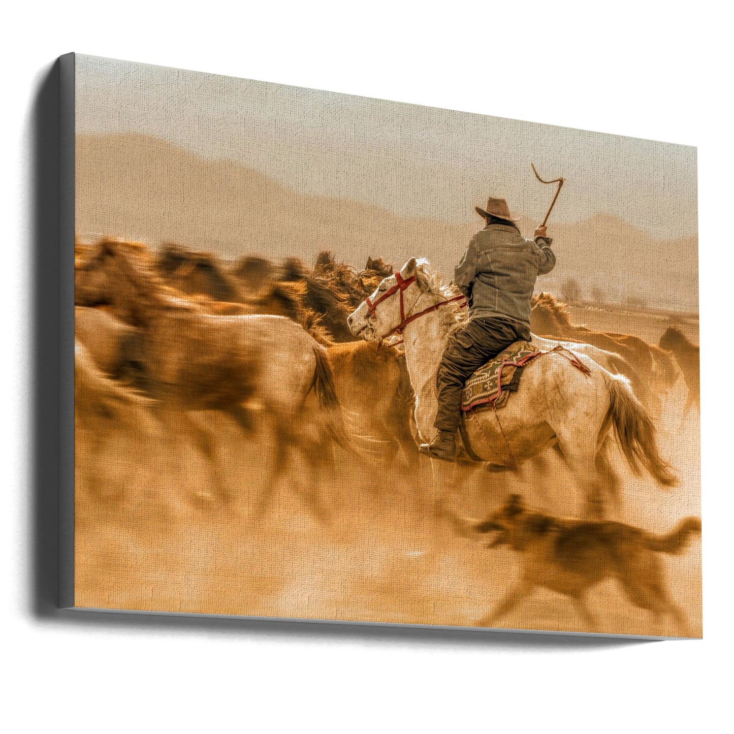 Wandbild Wilde Pferde (alias Yılkı Atları)