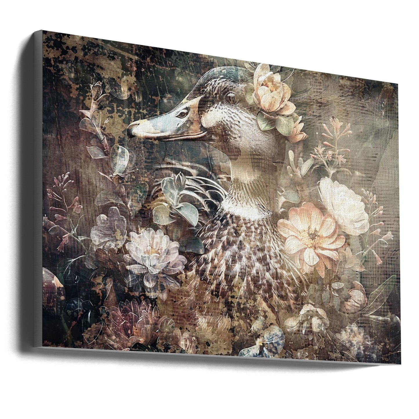 Wandbild Ente Tier Vintage Kunst Illustration Wandkunst 06