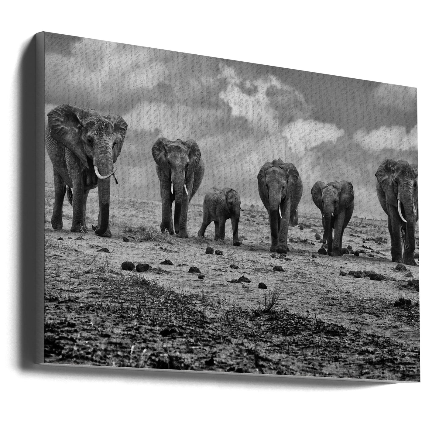 Wandkunst Große Familie. Elefanten