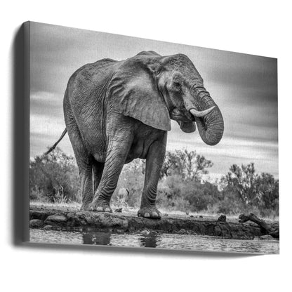 Wandbild Stehend Stolz. Elefant