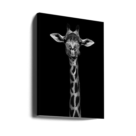 Wandbild Giraffenporträt
