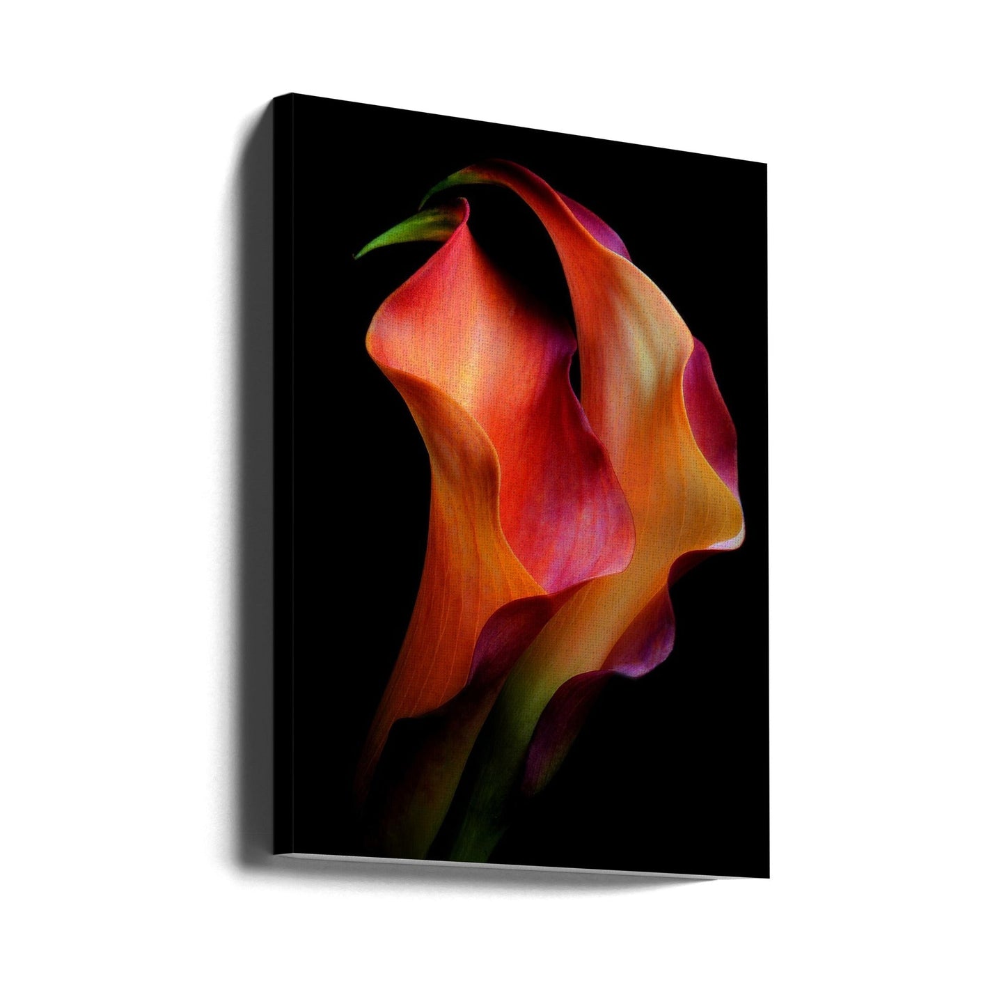 Tenderness