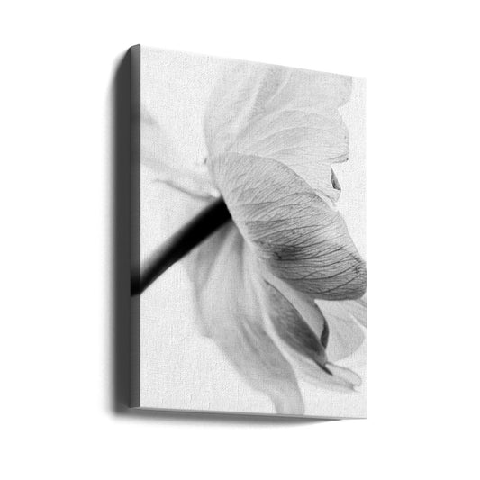 Wandbild Leinwandbild Blühende Blume