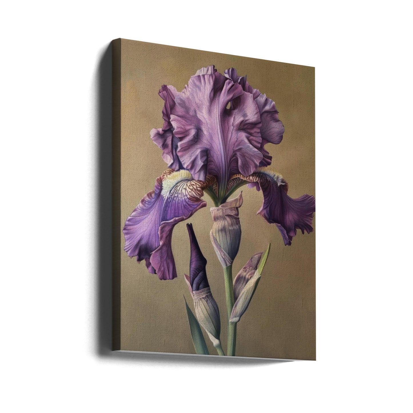Wandbild Iris Fl 101