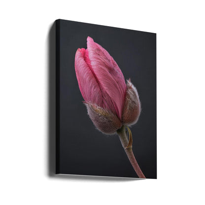 Wandbild Rosa Tulpe 1