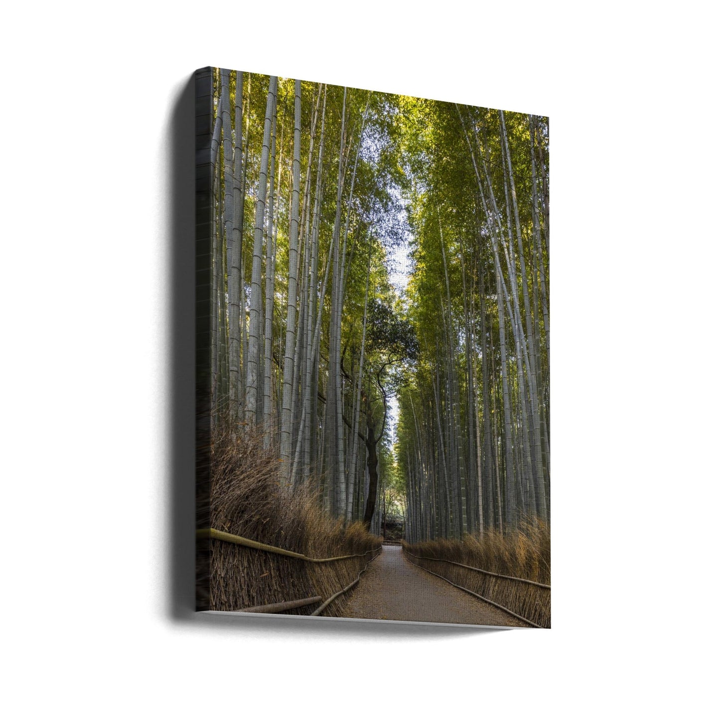 Wandbild Mächtiger Bambuswald von Arashiyama