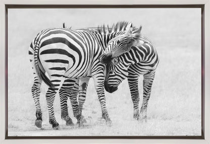 Wall art Tender Moment