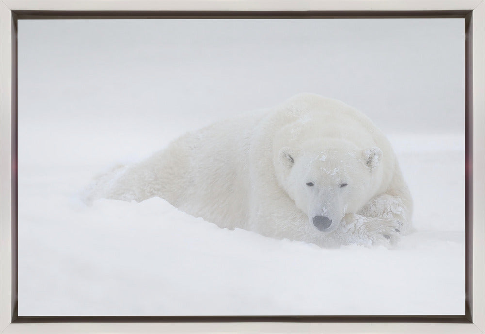 Wall art White
