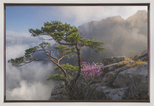 Wandbild Traumtänzer Leinwandbild