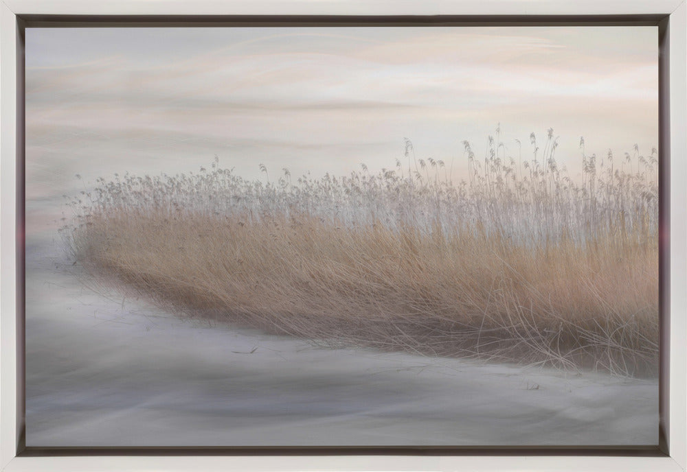 Wandkunst Winterrohr