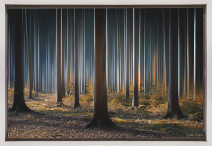 Wall art Mystic Wood