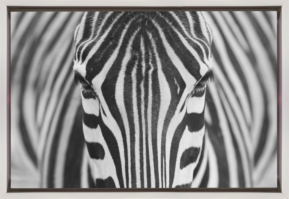 Wandkunst Zepra