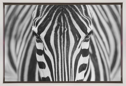Wandkunst Zepra