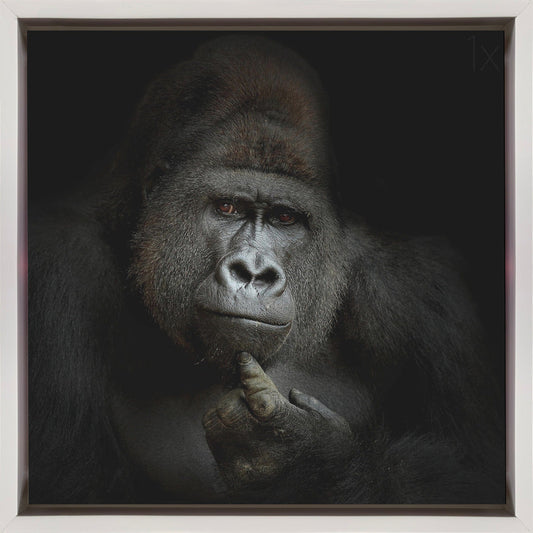 Wandbild ego cogito, ergo sum