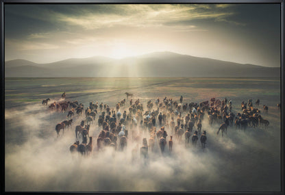 Wild Horses