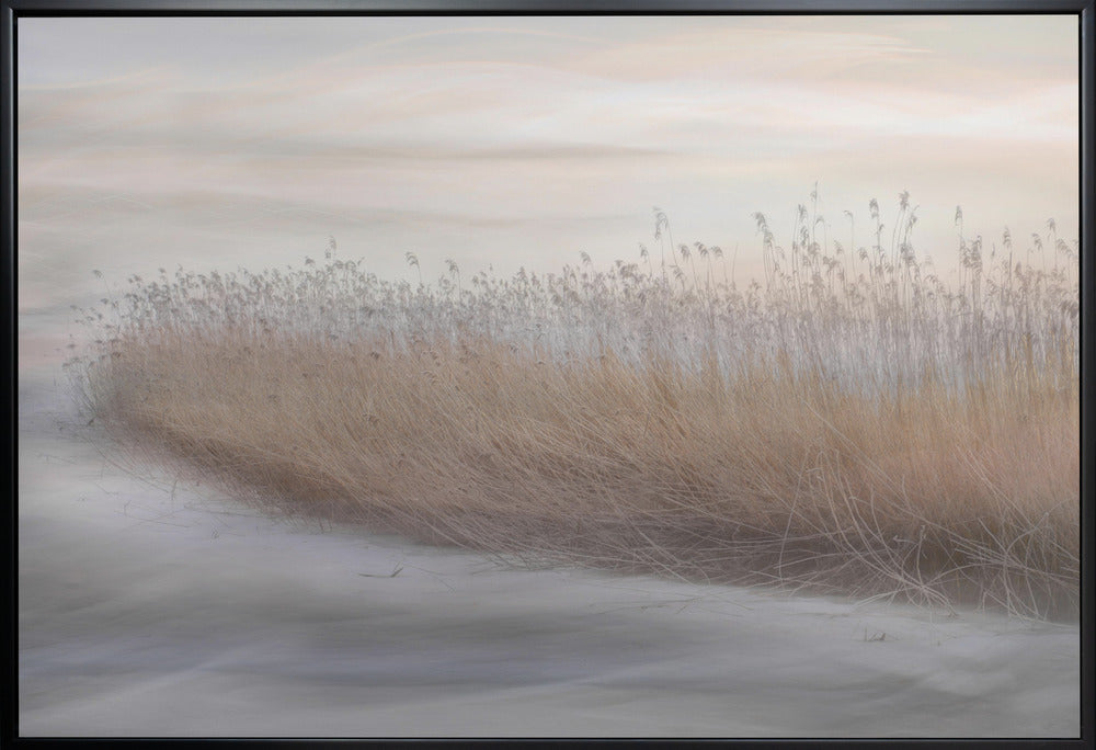 Wandkunst Winterrohr