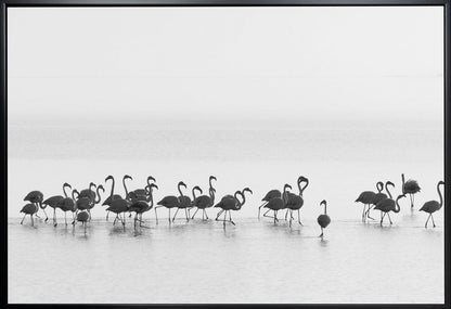 Wall art Flamingos