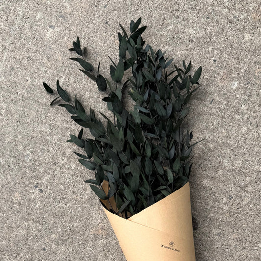 Eucalyptus parvifolia