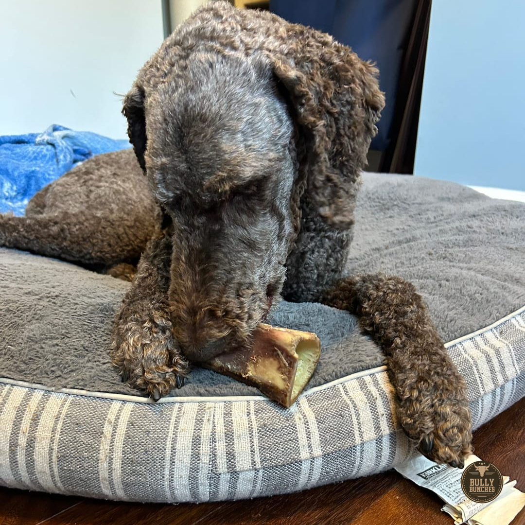 5-6 Inch Marrow Bone