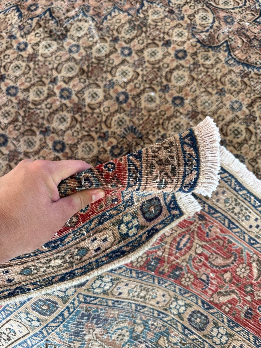 In Warteschleife für Sabrina | Persian Mood Teppich | 2,69 m x 3,53 m