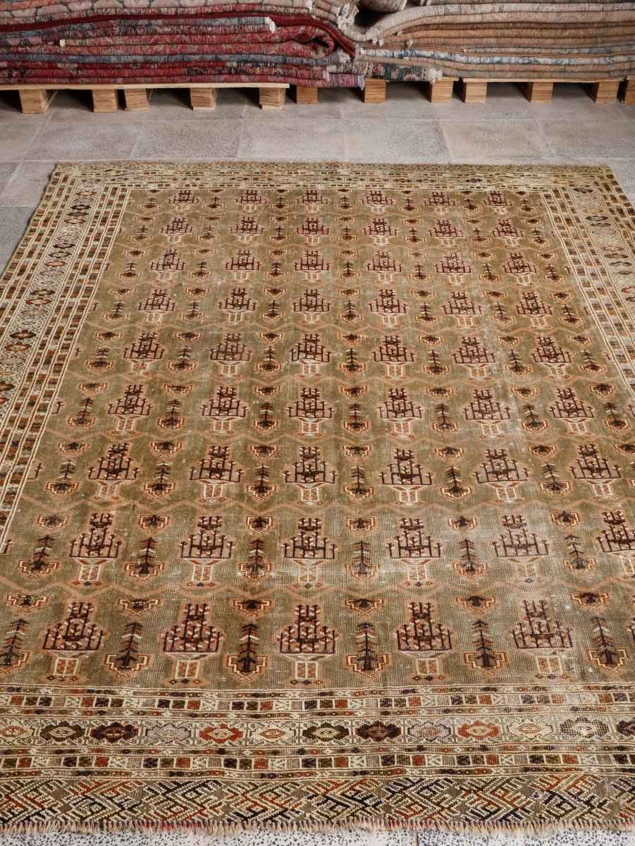 Persian Turkmen Rug | 6' 7” x 8' 4"