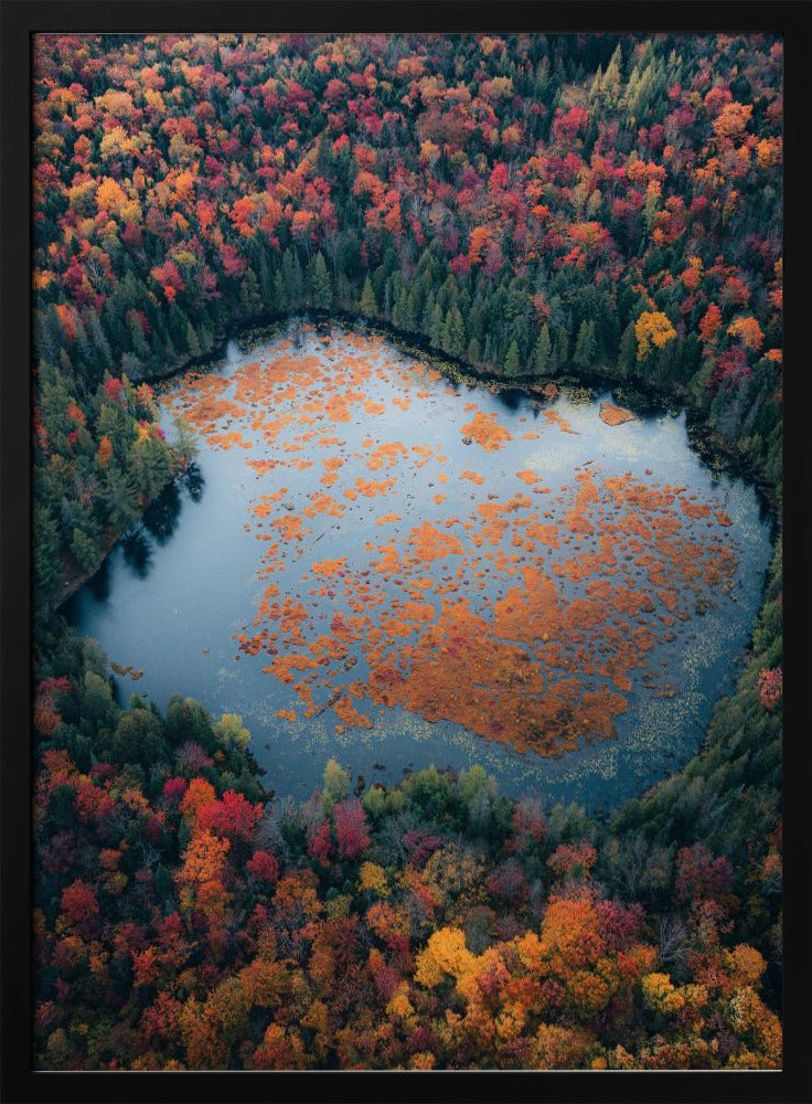 Wandbild Herbst am See