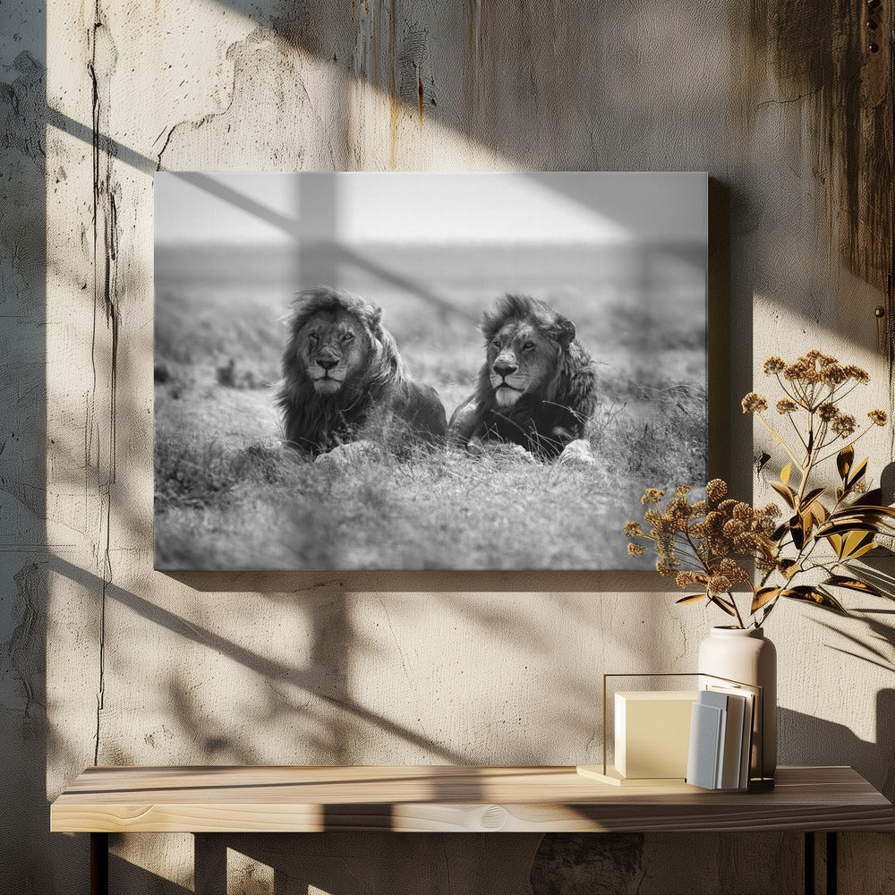 Wandbild Zwei Könige
