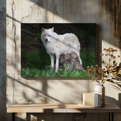Wandbild Arktische Wölfe – Remus und Romulus