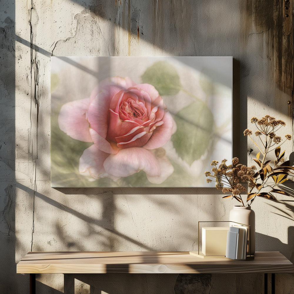 Wandbild glatte Rose