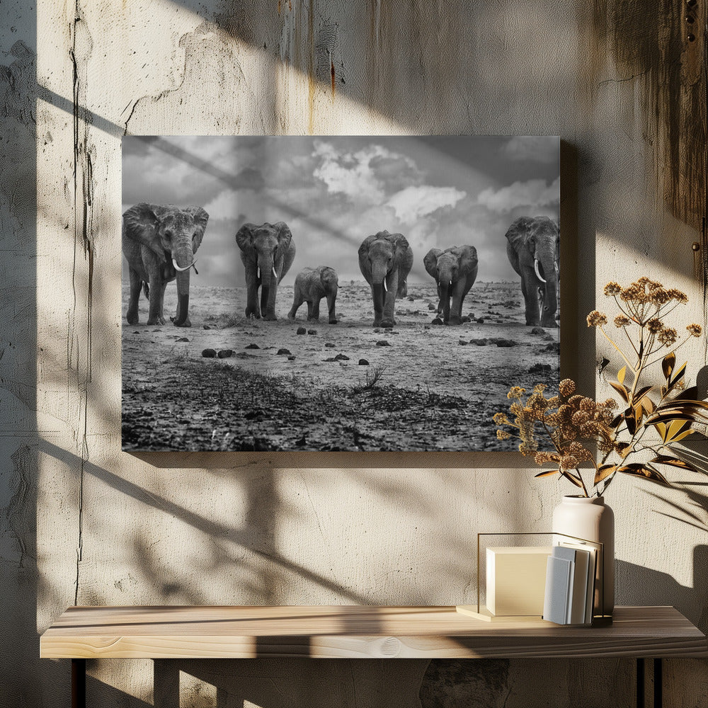 Wandkunst Große Familie. Elefanten