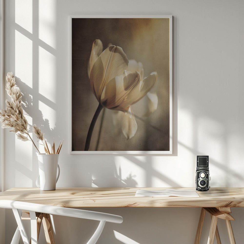 Wandbild Pastelltulpe