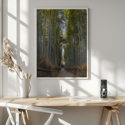 Wandbild Mächtiger Bambuswald von Arashiyama