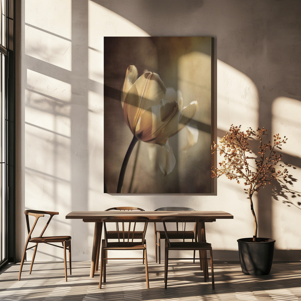 Wandbild Pastelltulpe
