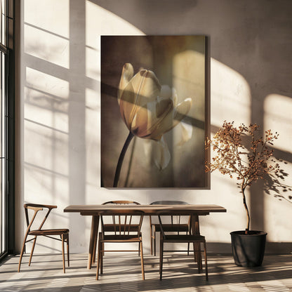 Wandbild Pastelltulpe