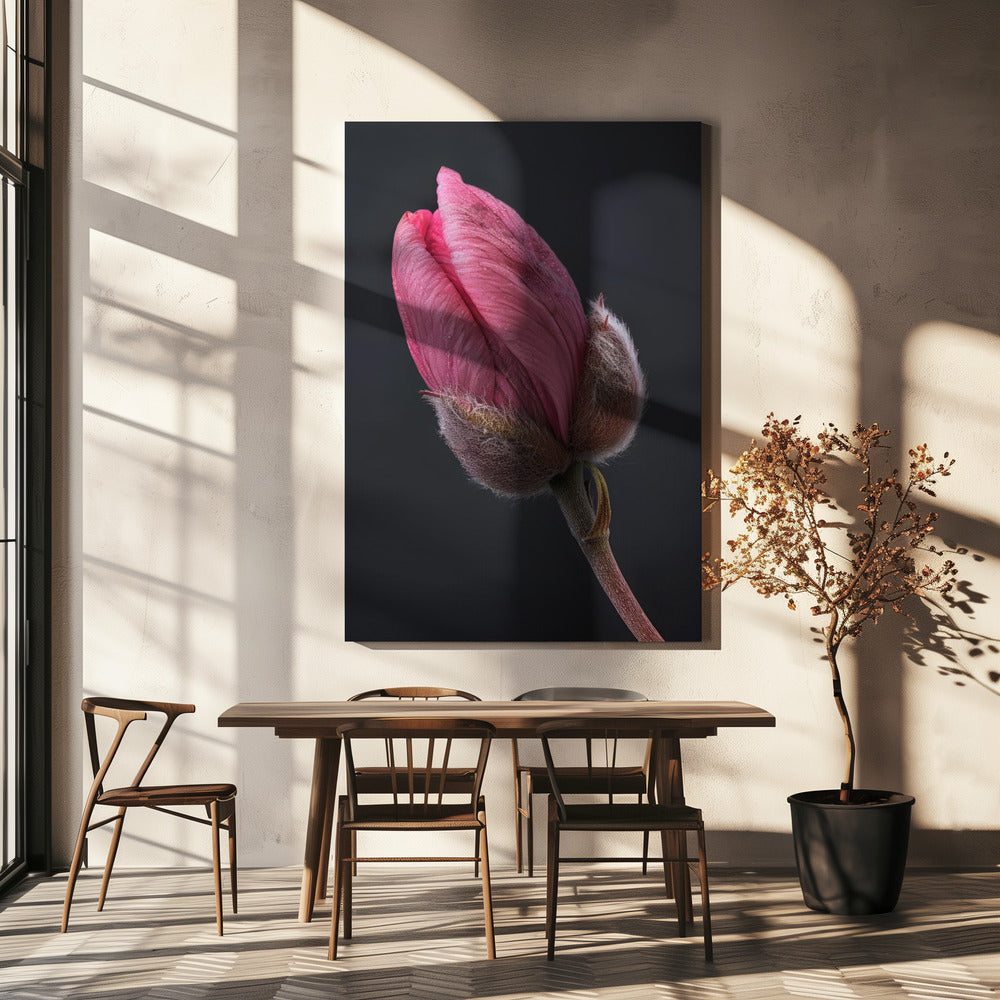 Wandbild Rosa Tulpe 1