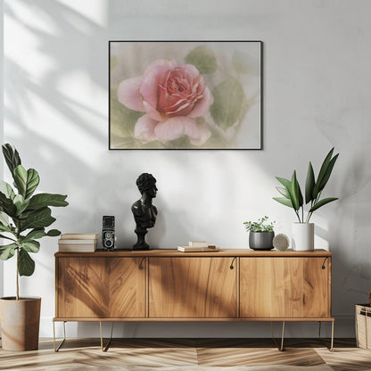 Wandbild glatte Rose