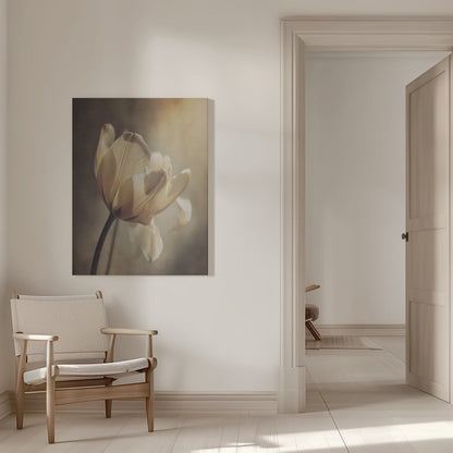 Wandbild Pastelltulpe